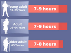 ¿Cuánto sueño necesitan los adultos?